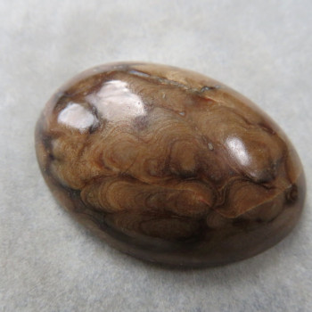 Stromatolite USA cabochon no.2