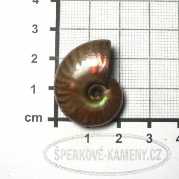 Amonite, extra pearl, no.4 | www.sperkove-kameny.cz