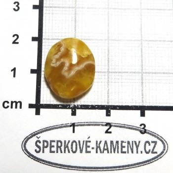 Amonit, kabošon, prstýnkový, č.9| www.sperkove-kameny.cz