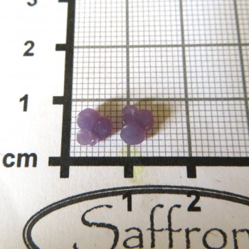 grape chalcedon