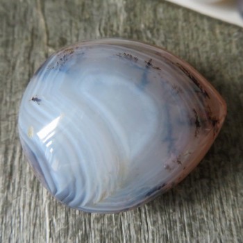 chalcedon