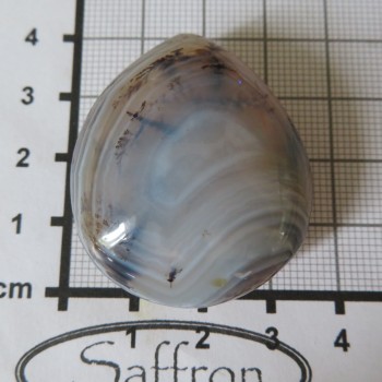 chalcedon