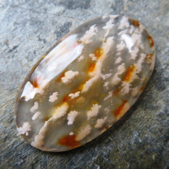 Plume agate USA, cabochon no.1