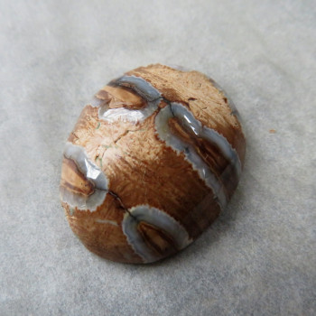 Natural mammoth tooth-stool, cabochon No. 3