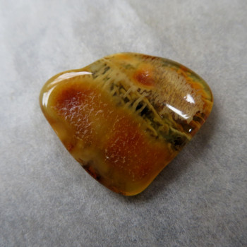 Natural Amber with drawing JK5