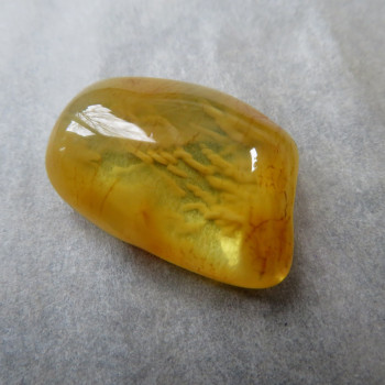 Natural Amber with drawing JK6