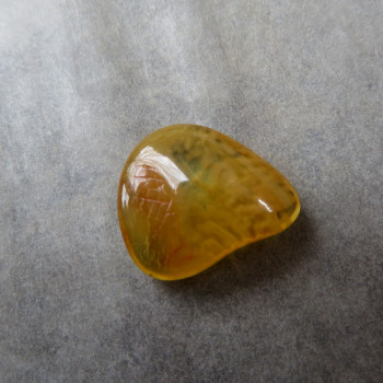 Natural Amber with drawing JK15