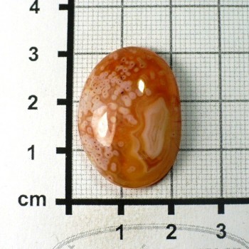 Carnelian, cabochon no.74 | www.sperkove-kameny.cz